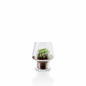 Eva Solo Succulent Glazen Vaas 15 cm 5706631202848